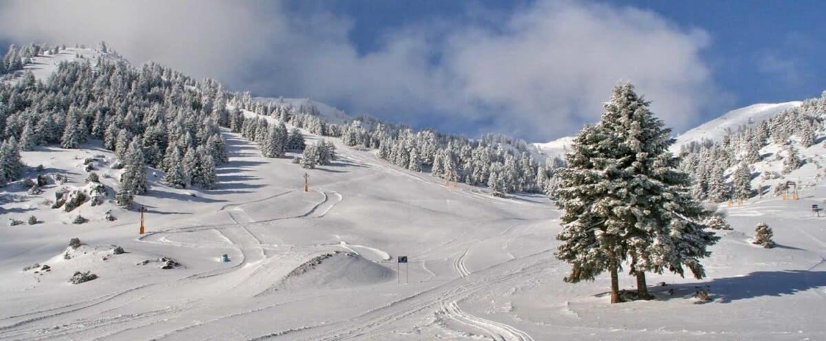 Forest Cosy House - Lagkadia Amazing View Dış mekan fotoğraf